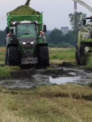 A post by @landwirtschaft023 on TikTok