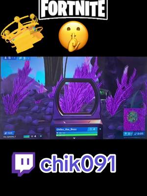 A post by @chiko_9191 on TikTok caption: 🤫#fortnite #gaming #fortniteclips #twitch #win #duo #streamer #fortnitememes #fortnitefunny @Tom Psen 