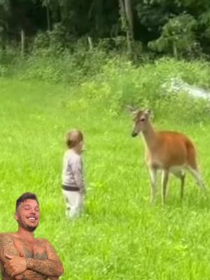 A post by @enricostrambini on TikTok caption: Legame indissolubile tra uomo e animale… #perte #viral #deer #kid 