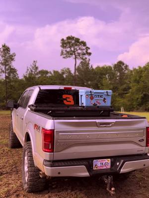 A post by @_its_danna on TikTok caption: For sale. Come get it 30k #stateline#fyp #florida #grapps #ford #platinum #bubbatruck🌾 #flawlesswhipz #foryou #nittotires #farm 