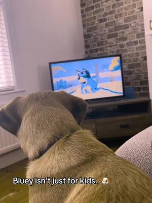 A post by @otis_thelab on TikTok caption: He loves it! 🥰 #bluey #dogvision #dogvisionfilter #dog #dogsoftiktok #cutebaby #puppy #Love #family #otisthelab 