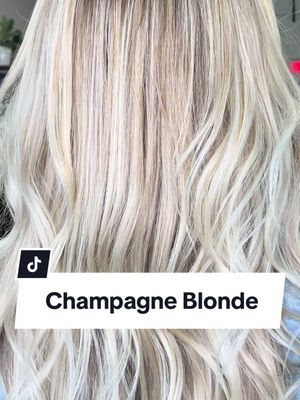 A post by @stephaniesalomoni on TikTok caption: I mean look at her hair! 🤤🤩 @Redken Root Tap @schwarzkopfprofessional BlondeMe lightener  I’m obsessed! 🥰🥰🥰 #redken #haircolorspecialist #bocaraton #champagneblonde #blondehair #pinnedcurls #dimensionalblonde #brightblondehair #haircolorformula #notonerneeded #soblonde #blondeaf #blondebabe #wetbalayage #mywholeprocess #haireducation #haircolorgoals💜 #haircolor #