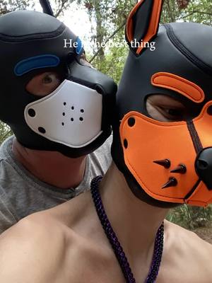 A post by @fynn_the_furry on TikTok caption: @Miika I love you adorable bean. Excited for our future together ✨💫#fyp #fypシ #fynn_the_furry #furryfandom #furrytiktok #puphoodcommunity #pupcommunity #fursuit #demondogfursona