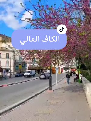 A post by @feridcherni on TikTok caption: #ناڨوز_تكلم #تونس_الجزائر🇹🇳🇩🇿 #foryou #اكسبلورexplore #tiktoklongs🇵🇰🇵🇰🇵🇰🇵🇰💝💕💞💔🌹💓❣️💘 #french #deutchland