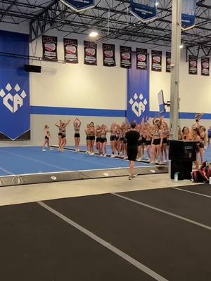 A post by @johndavenport_ on TikTok caption: BABS RUNNING TUMBLING LINE! #cheerathletics #panthers #babs #foryou #fyp #viral #TUMBLING #cheer @Cheer Athletics 