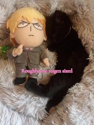 A post by @isreigen on TikTok caption: I love my daughter #anime#mobpsycho100#reigenarataka#kitten#cat 