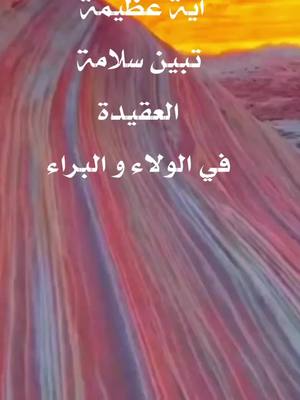 A post by @mohakasem1995 on TikTok caption: #العقيدة #الأخلاق #القرآن #الصلاة #tiktok_العرب_ #islam #viral #اكسبلورexplore @الطريق الى الجنه @TREND ISLAM @أبو قاسم @🐎 اسلاميات قصيرة 🐎 @فلسطين.nr.1 ابو قاسم @فلسطين.nr.1 ابو قاسم @فلسطين.nr.1 ابو قاسم #CapCut 