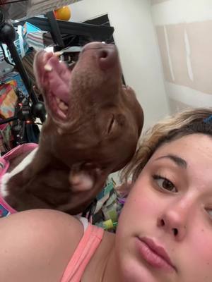 A post by @dogmommy215 on TikTok caption: my baby 🥹 dont mind my nervous blotching on my neck lol #fyp #mybaby #mypittie #itsactuallythesecond #lifessohard