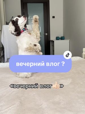 A post by @be_l_la_1 on TikTok caption: как вам такой формат ?#рекомендации #беллатоп