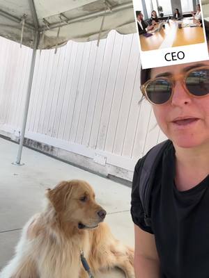 A post by @champgoldenpup on TikTok caption: This needs to work on dogs. Thankfully this aas accurate. #fyp #goldenretriever 