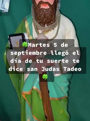 A post by @sanjudastadeo480 on TikTok caption: #sanjudastadeo #sanjudastadeo💚 #misanjudastadeo💚 #misanjuditas🙏💚 #misanjudasconmigotodoeltiempo🍀 #sanjosecalifornia #estasosunidos🇺🇲 #newyor #norteamerica🇲🇽🇺🇸🇨🇦 #mitiendahoustontx #viral #chicago #usa #florida #miami #houstontx #usa🇺🇸 #pensilvania #pensilvania🇺🇸 