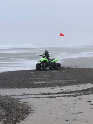 A post by @nismojames on TikTok caption: This boy loves the dunes. #sanddunes #kawasaki #quads #4yearslold #daddysboy #california 