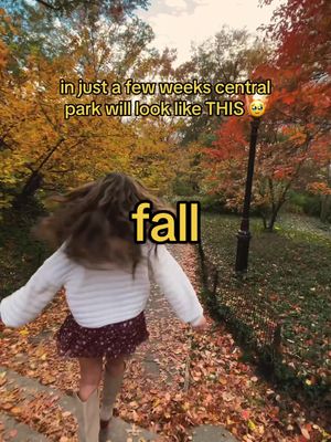 A post by @jasmineelias_ on TikTok caption: central park in the fall is my favorite place in the whole wide world 🥹🫶🏼🍁🍂 #fall #fallfashion #fallstyle #fy #trending #newyork #centralpark #newyorkcity #manhattan