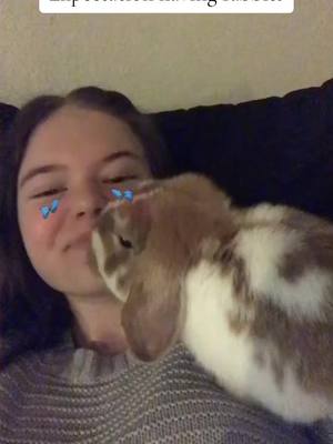 A post by @charliegaarden on TikTok caption: Rabbits are NOT boring pets! #rabbit #bunny #charliegaarden #pets #pet 