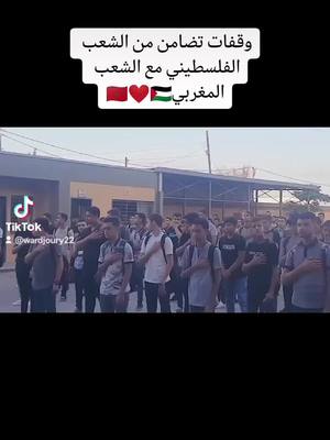 A post by @wardjoury22 on TikTok caption: #المغرب🇲🇦تونس🇹🇳الجزائر🇩🇿 #فلسطين🇵🇸 #حركة_لاكسبلورر #زلزال #viral 