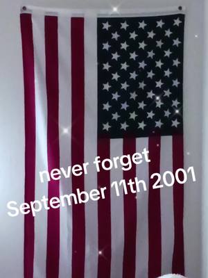 A post by @typeonediabeticshelly on TikTok caption: #duet #fypシ #america #september11 #september11footage #september112001 #neverforgotten