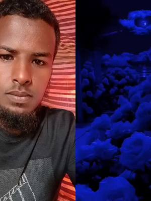 A post by @abdu.nesrie on TikTok caption: #duet with @Quran_Majeed #viral #ፊዳከ_አቢ_ወኡሚ_ያረሱለሏህ #fypシ゚viral #ፊዳከ_አቢ_ወኡሚ_ያረሱለሏህ #ሀበሻ🇪🇹🇪🇹🇪🇹tiktok