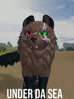 A post by @mixed.wcue on TikTok caption: i toootally can see 🤥 || #wcueedit #warriorcatsedit #warriorcats #warriors #warrior #wcue #wcueroblox #wcuefyp #wcuetiktok