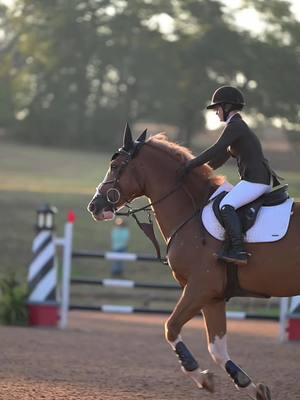 A post by @mindyrebecca on TikTok caption: Grand Prix, Huck, and the sunrise 🌅😍 #eighteenacresfarm #hunterjumper #grandprix #horse #equestrian #equestrianlife #equestriansoftiktok 