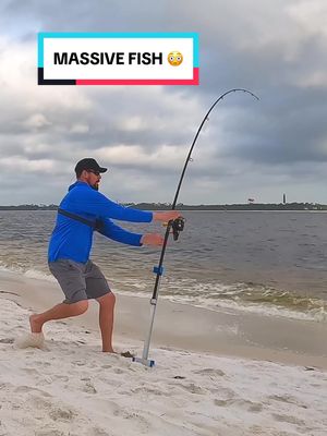 A post by @salt_squatch on TikTok caption: Remote control boat catches HUGE fish surf fishing! #fishingtiktoks #surffishing #fyp 