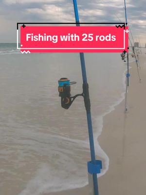 A post by @salt_squatch on TikTok caption: Surf fishing with 25 rods! 😳 #fishingtiktoks #surffishing #beachfishing #saltwaterfishing 