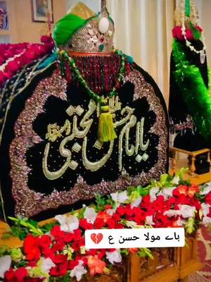 A post by @khadimezainab69 on TikTok caption: 28 Safar Shadat Imam Hassan as ,Taboot imam Hassan as , #khadimezainab69 #kaneezzainab95 #foryou #28safar #imamhassan 