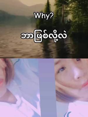 A post by @ on TikTok caption: #duet with @Mei Mei #ငါသေမှရောက်မှာလားfypက🙂🤥🤧💙 ဘာမှလုပ်စိတ်လဲမရှိဘူးစောက်သခိုးကလဲငါဖုန်းမှာခု်ိးရတယ်😭😭😭😭