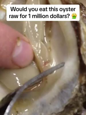 A post by @dane_jones on TikTok caption: Do you eat oyester? 😳 #fypシ #oyester •••••••••••••••••••••••••••••••••••••• “The consumption of raw oysters at a Texas restaurant led to the untimely death of a relatively healthy man in his 30s. The man, contracted a bacterial infection known as Vibrio vulnificus that thrives in warm coastal waters. Bacterial infections like this one are on the rise as water temperature continues to increase in response to climate change. The Centers for Disease Control and Prevention has issued a health alert in response to the number of people who have been infected with Vibrio vulnificus and those who have died as a result of the infection since the start of the year.” #greenscreenvideo #greenscreen #TikTokHolidays 