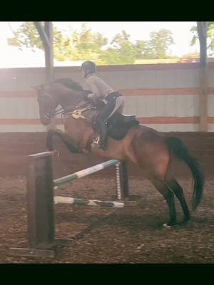 A post by @ellajumps on TikTok caption: Its a need not a want for my eq to look like this again.. (also missing this)  