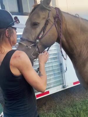 A post by @mn_sp_designs on TikTok caption: #horsegirls #horsetiktok #horselove