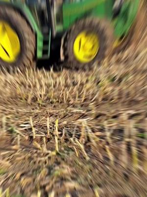 A post by @bastian_landwirtschaft on TikTok caption: Mais 2023 hat begonnen 🌽🤟 #mais #johndeere #altepower #johndeer6800 #fy #abfahrt #mais2023🌽🚜 #newholland #krampe #Dorfkind #snap #fyp #silo #fürdich #häkseln🌽😈🤘 #Häksler 