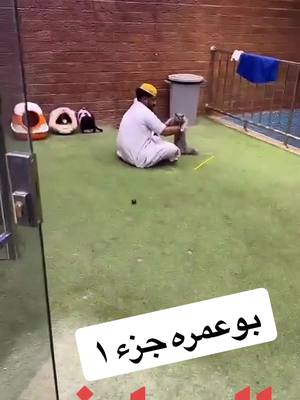 A post by @20urfan on TikTok caption: #بوريان🍁 #الاحساء #بوعرب #اكسبلورexplore #الشحانية #بحرين🇧🇭 #مصر #وليد #مشاهير #ميسي #هستور #بوشمره #هلال #اسامه_داود #القصيم #بوريان🍁 