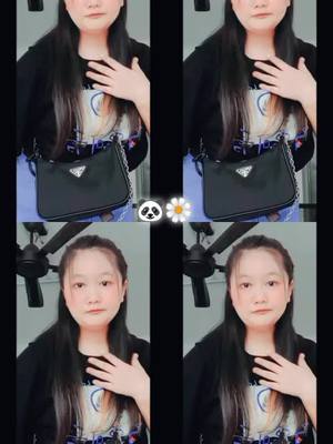 A post by @ceciliasiam8 on TikTok caption: 🐼@cecilia siam8🐼🍒🇲🇲🇲🇲#zomitiktok #မြင်ပါများပီးချစ်ကျွမ်းဝင်အောင်လို့🤒🖤 #ေရာက္စမ္းfypေပၚ😒👊myanmartiktok #tiktok2023 #