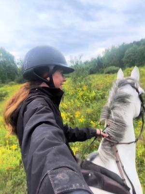 A post by @morganblackaby.eq on TikTok caption: Tube girl ? #horses #tfmemphisblues #equestrian #newyork #tubegirl #trend