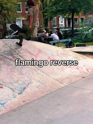 A post by @back360 on TikTok caption: flamingo reverse in the @cookman.official pants. ~ #Skateboarding #skate