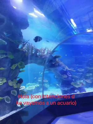 A post by @soyelmejormuichironista on TikTok caption: xfavor😞😞 #CapCut #acuario #medusa #soyelmejormuichironista #parati #fyp #fypシ #foryou