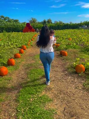 A post by @nebrasskamp on TikTok caption: Family 🍂 #fyp #pumpkinseason