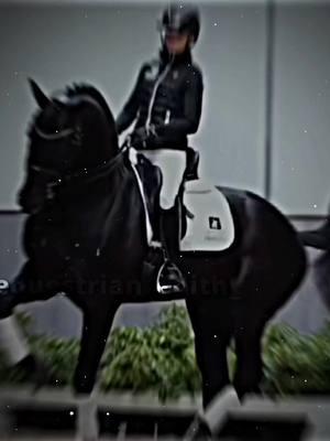 A post by @equestrian_edith_ on TikTok caption: #horse #horsesport #equestrian #equestriansport #рекомендации #лошади #конныйспорт 