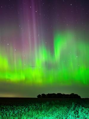 A post by @stormchasingvideo on TikTok caption: Amazing #Aurora #auroraborealis #northernlights #timelapse video filmed in tall screen on the night of 9/18/2023 during the #Solarstorm as the #Spaceweather hit the #earth upper #atmosphere and lighting up the sky over #Minnesota.