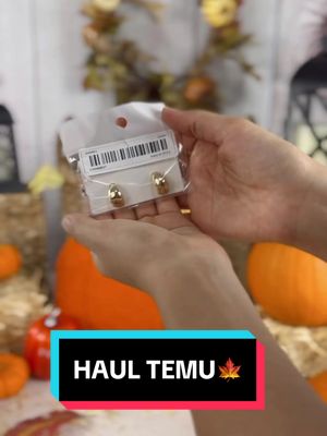 A post by @patyfamiliageek on TikTok caption: HAUL TEMU segunda Parte 🧡✨🍁🤎 #haul #temu #temuhaul #fallvibes #otoñoaesthetic