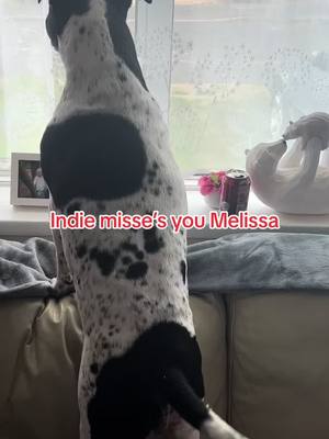 A post by @yasminknight1 on TikTok caption: Melissa used to come home in an ambulance and indie saw one outside our house and thought her mummy was home 😭 #grief #missingyou #herhuman #poorgirl #shedoesntunderstand #fyp #fypシ #viral 