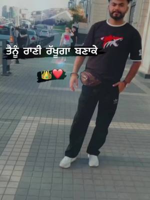 A post by @shah_x6__ on TikTok caption: #germany🇩🇪 #canada #jattlife #trending #rajarani #fyp #Tiktok #Explore #punjabi @TikTok @rajee13_cali🇺🇸 @Navi @Noa🇩🇪 @Canada Punjabi