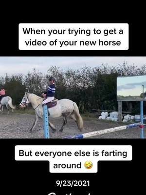 A post by @beckysheridan6 on TikTok caption: #onthisday lets bring back this classic 🤣 @Grace O'brien @Taf #horse #newhorseday #equine #equestrian #horseriding #equine #equestriangirl #horsesoftiktok #showjumper #eventer #dressage #highlandhorse