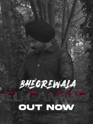 A post by @bheorewala on TikTok caption: My New Song/ video @Director Whiz  #foryou #viral #envyworldwide #punjabitiktok #punjabimusicworld #directorwhiz #fypシ #punjabisong #ukmusic #bheorewala 