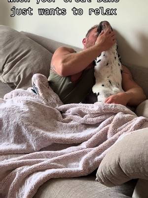 A post by @titan.and.his.dads on TikTok caption: Thanks for the pets, cuddles, and kisses. Now, let me nap! #greatdane #greatdanesoftiktok #cuddles #dogdad #fyp 