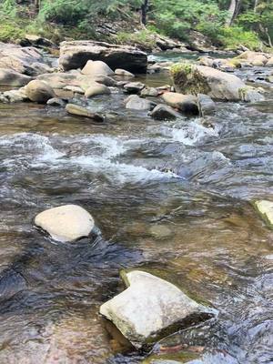 A post by @tonylewis_m8 on TikTok caption: Smoky Mountain National Park #asmr #smokymountainstennessee #gatlinburg #pigeonforge #creek #river #nature 