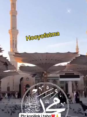 A post by @hooyofaatma1 on TikTok caption: Dhalashadii iyo barbaarintii NABI MAXAMED CSW  LIKE SHARE GARSIII ASXABTAADA KHERKA❤️🙏✍️#hooyo #hooyomacaan #hooyojamilo💍 #hooyo_mcn🌏🥰 #dhiirigalin #somaliweyn🇸🇴 #fyp #fouryou #faafiyekheyrka #faafintawanaagaiyokhayrka💗 #somalitiktok12💕 #faafiwanaaga #hooyofatma #hooyofatma1 #somalitiktok2022🇸🇴🇸🇴😍❤️asxabta😊🙏 #fouryoupage #nasheed #faafi_kheyrka_wll_alle_darti🙏 #faafi #daaci #daacimukhtaar #daaci_xabiib1 #qaali  @Hooyofatma #diinta #diinta_islamka #diinta_faafi1 #diinta__islaamka__1 #diintaada_baro #diintaislamka #diinta_faafi001 #somalitiktok122 #somalitiktok12💕  @Hooyofatma