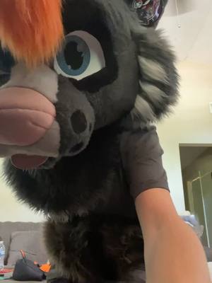 A post by @fynn_the_furry on TikTok caption: Silly Fynn 🤭 #foryou #fyp #furryfandom #fursuit #furry #furrycommunity #fynn_the_furry #furrys #demondogfursona