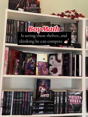 A post by @alliestern.books on TikTok caption: Lets bring boy math to booktok #spicyromance #BookTok #bookboyfriend #bookworm #darkromance #spicybookrecomendations🔥