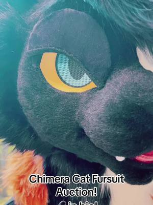 A post by @scarletwingsfs on TikTok caption: Check them out! Brand new fursuit looking for a home! #furry #fursuit #fursuitmaker #furryfandom #fursuitersoftiktok #fursuits 